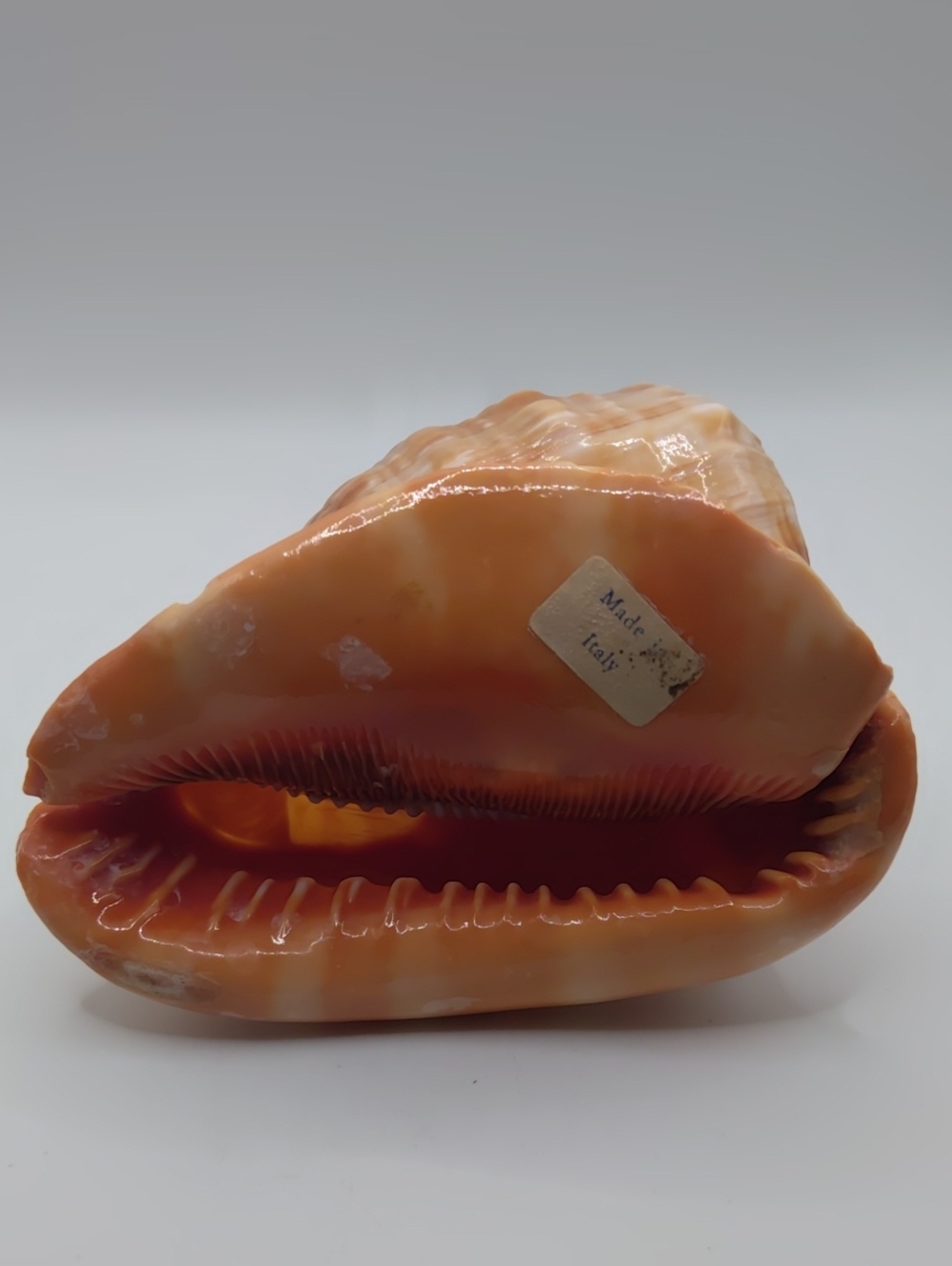Hand Carved Shell Cameo Made In Italy - Picture 6 of 7